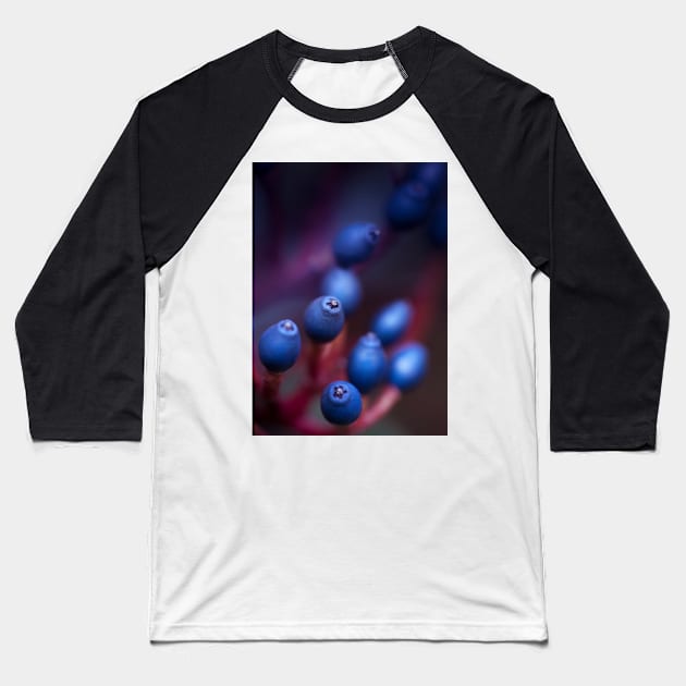 Berries Baseball T-Shirt by EviRadauscher